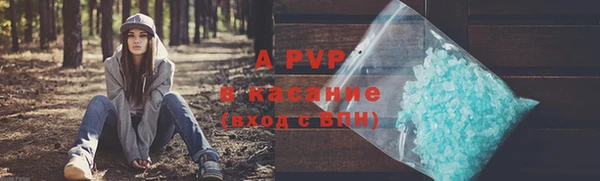 индика Пролетарск
