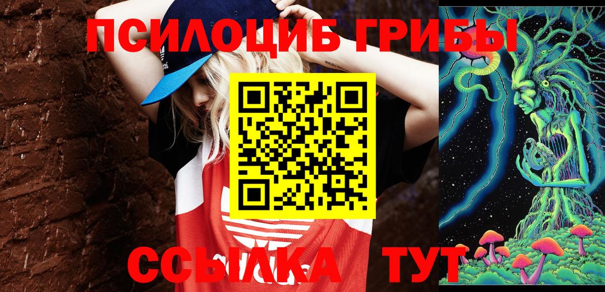 сколько стоит  Вход с VPN  Солнечногорск  Псилоцибиновые грибы мухоморы 