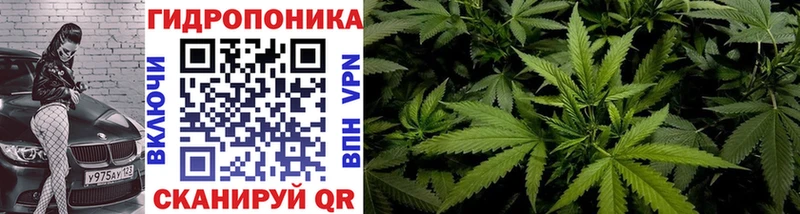 Каннабис план  где можно купить   Солнечногорск 
